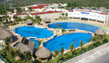 Dolphinaris - Cancun