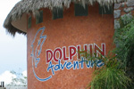 Puerta Villarta Dolphins